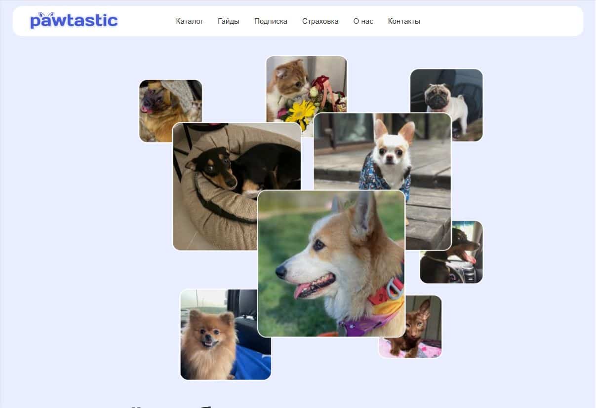 сайт pawtastic